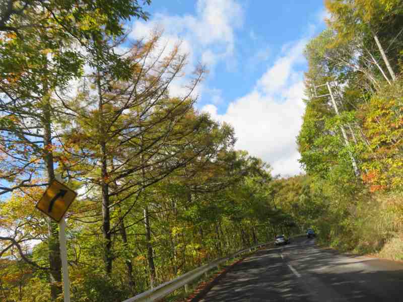 f:id:mannenNA:20211101175146j:plain