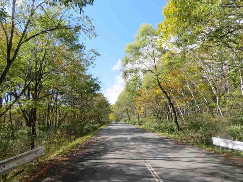 f:id:mannenNA:20211101175219j:plain