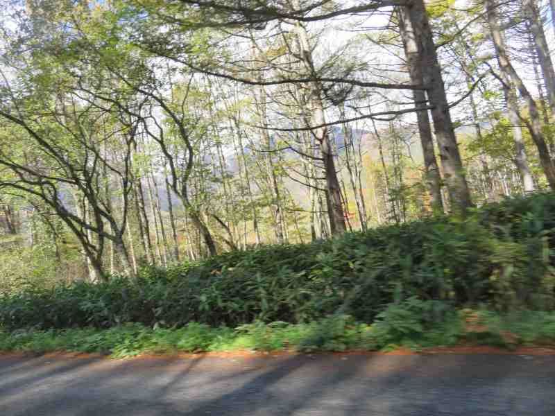 f:id:mannenNA:20211101175240j:plain