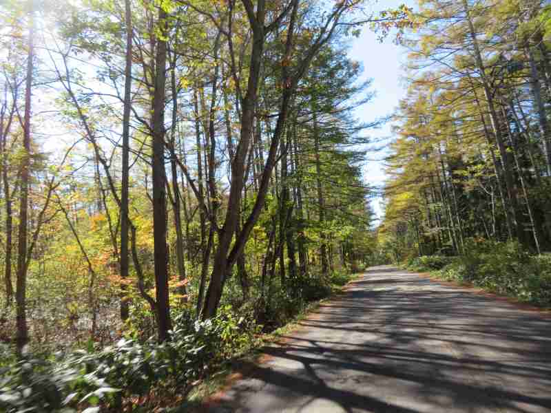 f:id:mannenNA:20211101175320j:plain