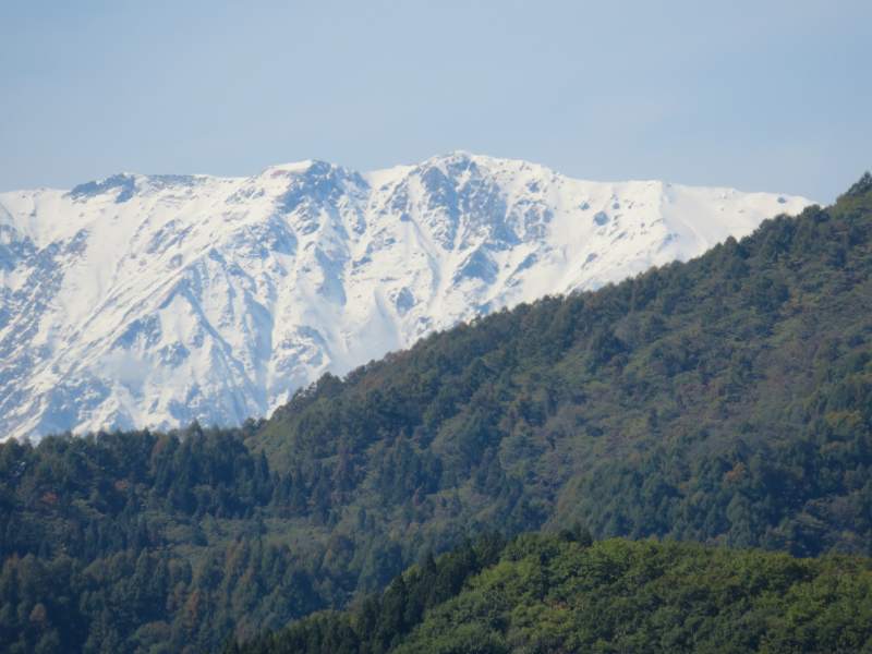 f:id:mannenNA:20211101180308j:plain