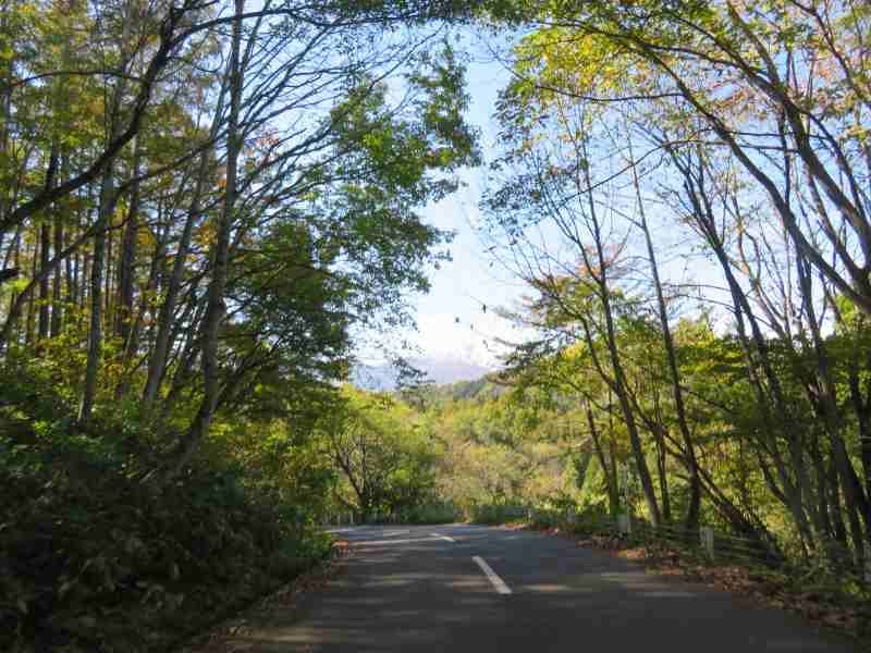 f:id:mannenNA:20211108200518j:plain