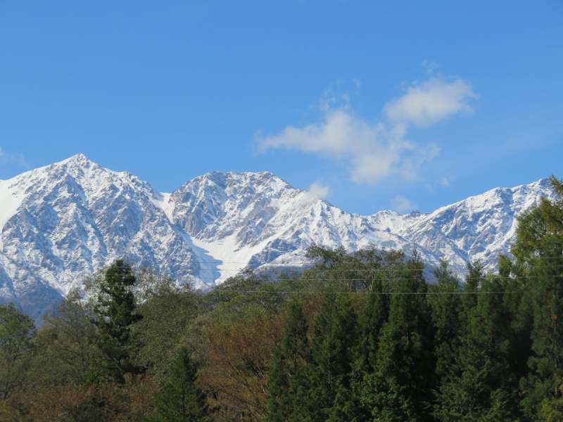 f:id:mannenNA:20211108200547j:plain