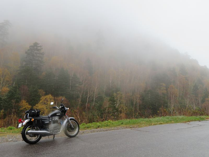 f:id:mannenNA:20211109181700j:plain