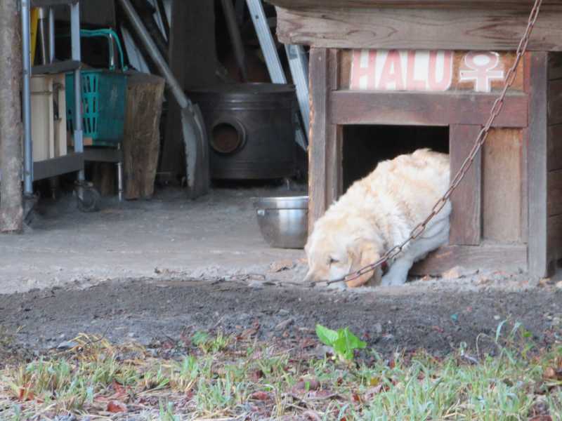 f:id:mannenNA:20211109181804j:plain