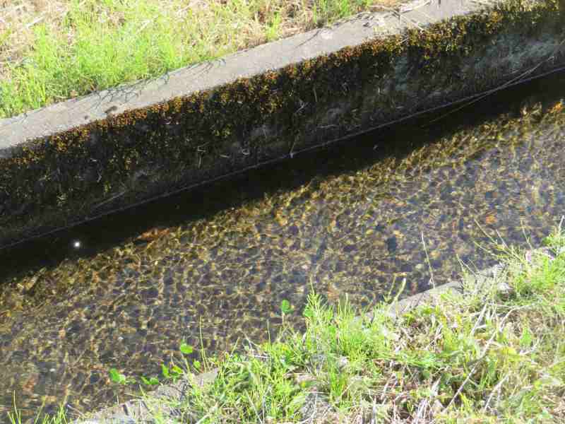 f:id:mannenNA:20211109182246j:plain