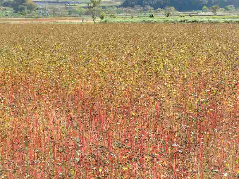 f:id:mannenNA:20211109182257j:plain