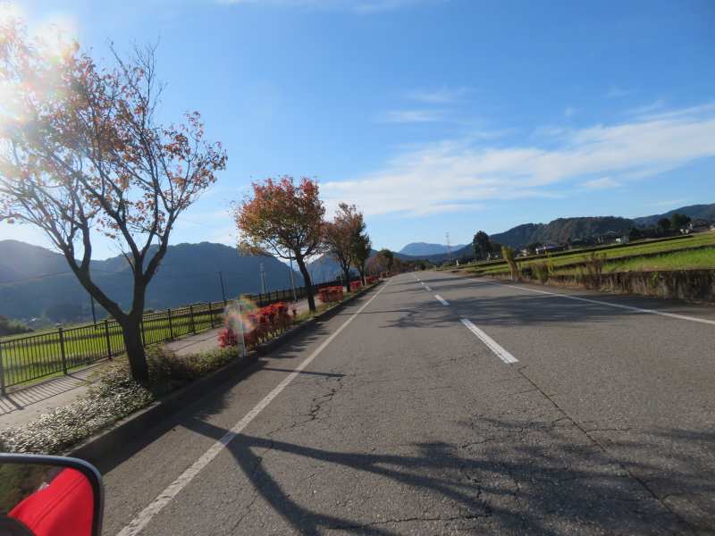 f:id:mannenNA:20211109184853j:plain