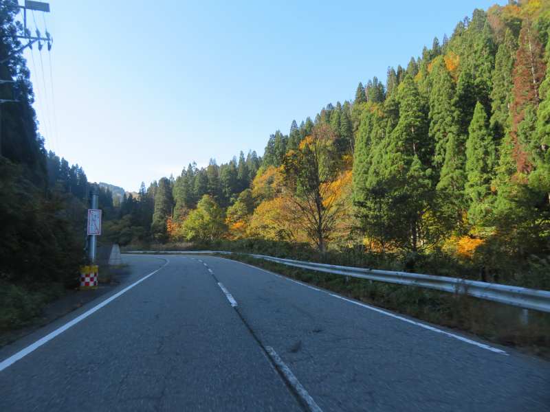 f:id:mannenNA:20211109184917j:plain