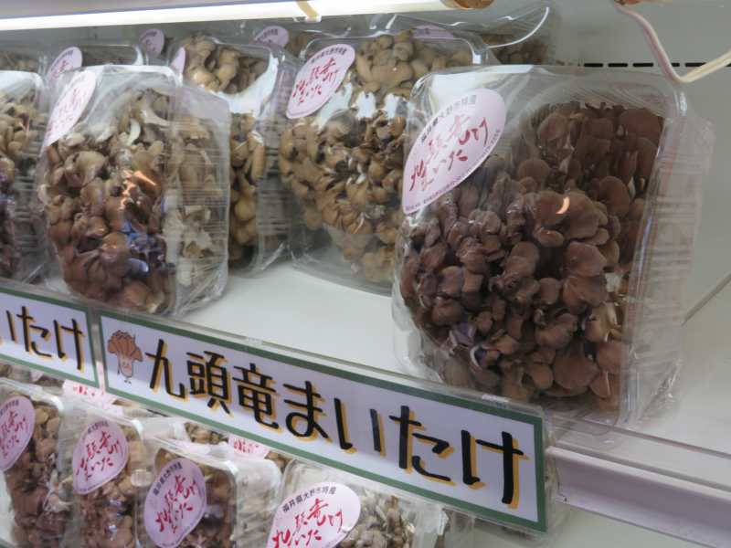 f:id:mannenNA:20211110195915j:plain