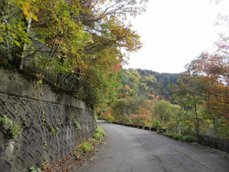 f:id:mannenNA:20211111180105j:plain