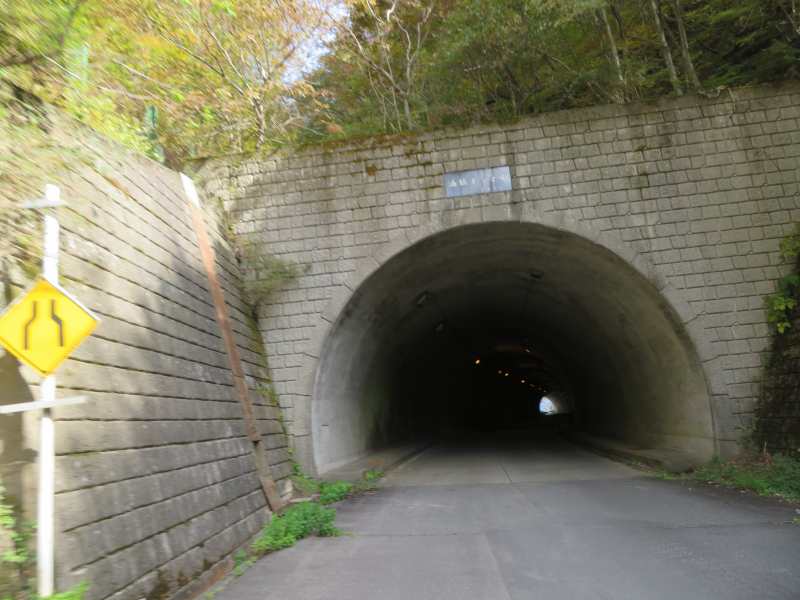 f:id:mannenNA:20211111180342j:plain