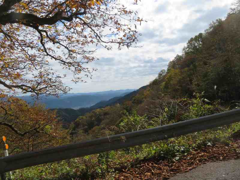 f:id:mannenNA:20211111180440j:plain