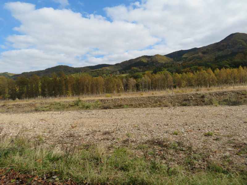 f:id:mannenNA:20211113205928j:plain