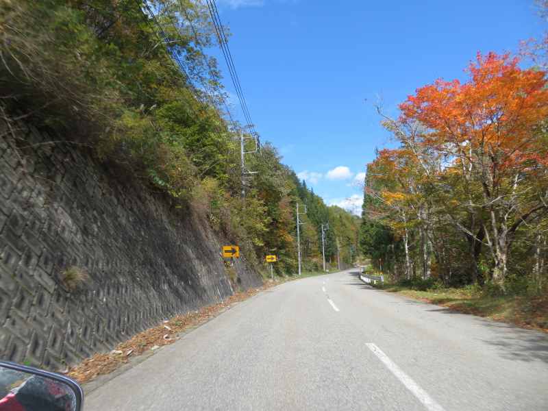 f:id:mannenNA:20211113210148j:plain