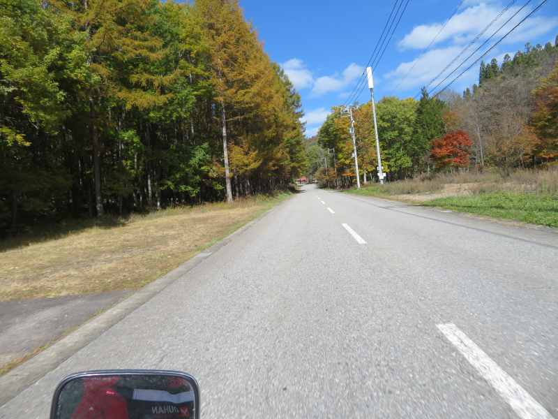 f:id:mannenNA:20211113210203j:plain