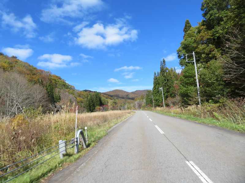 f:id:mannenNA:20211113210217j:plain