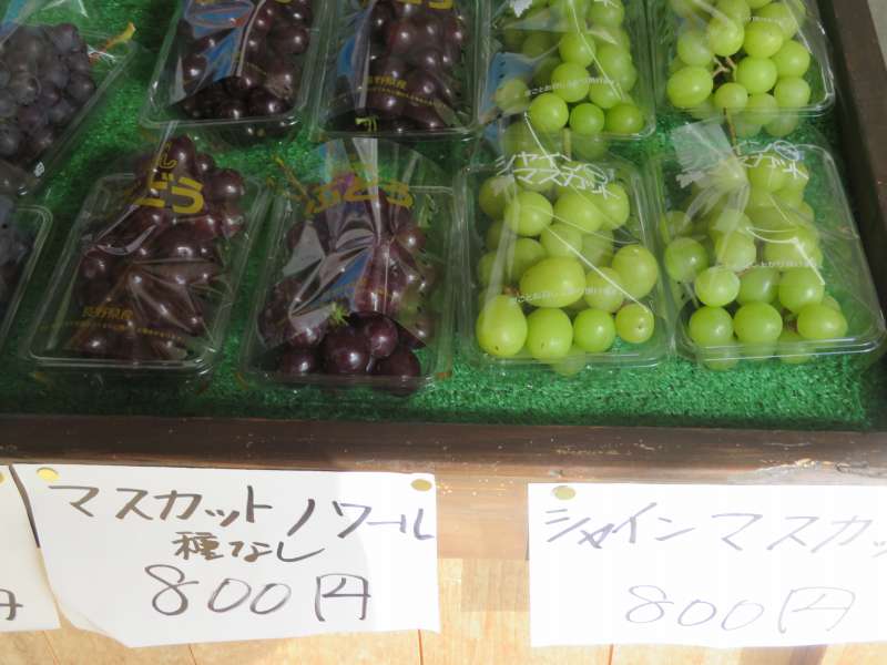 f:id:mannenNA:20211113210331j:plain