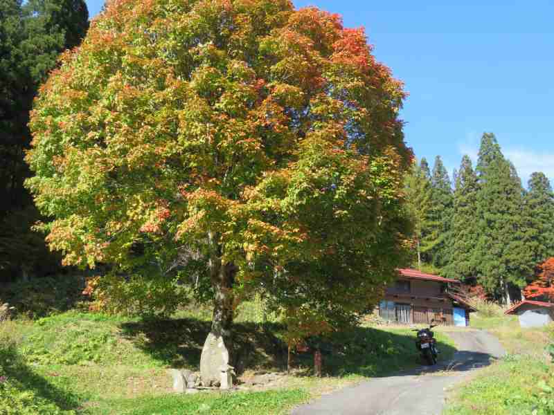 f:id:mannenNA:20211113210531j:plain