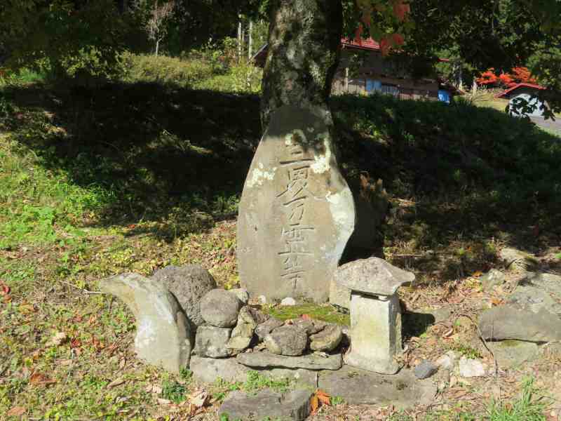 f:id:mannenNA:20211113210558j:plain