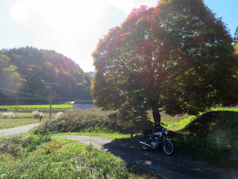 f:id:mannenNA:20211113210901j:plain