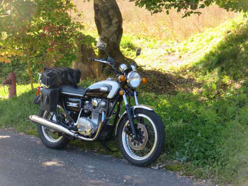 f:id:mannenNA:20211113210916j:plain