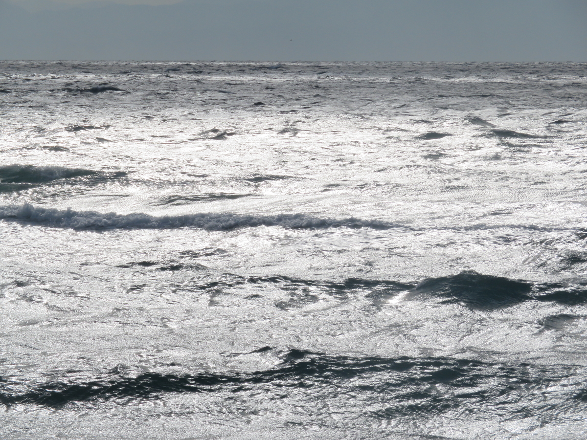 f:id:mannenNA:20211114161621j:plain