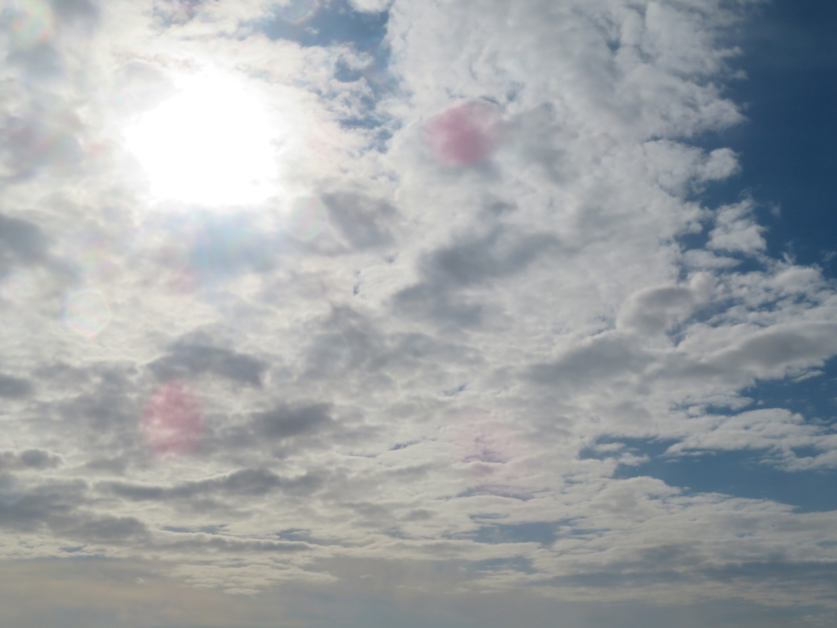 f:id:mannenNA:20211114161718j:plain