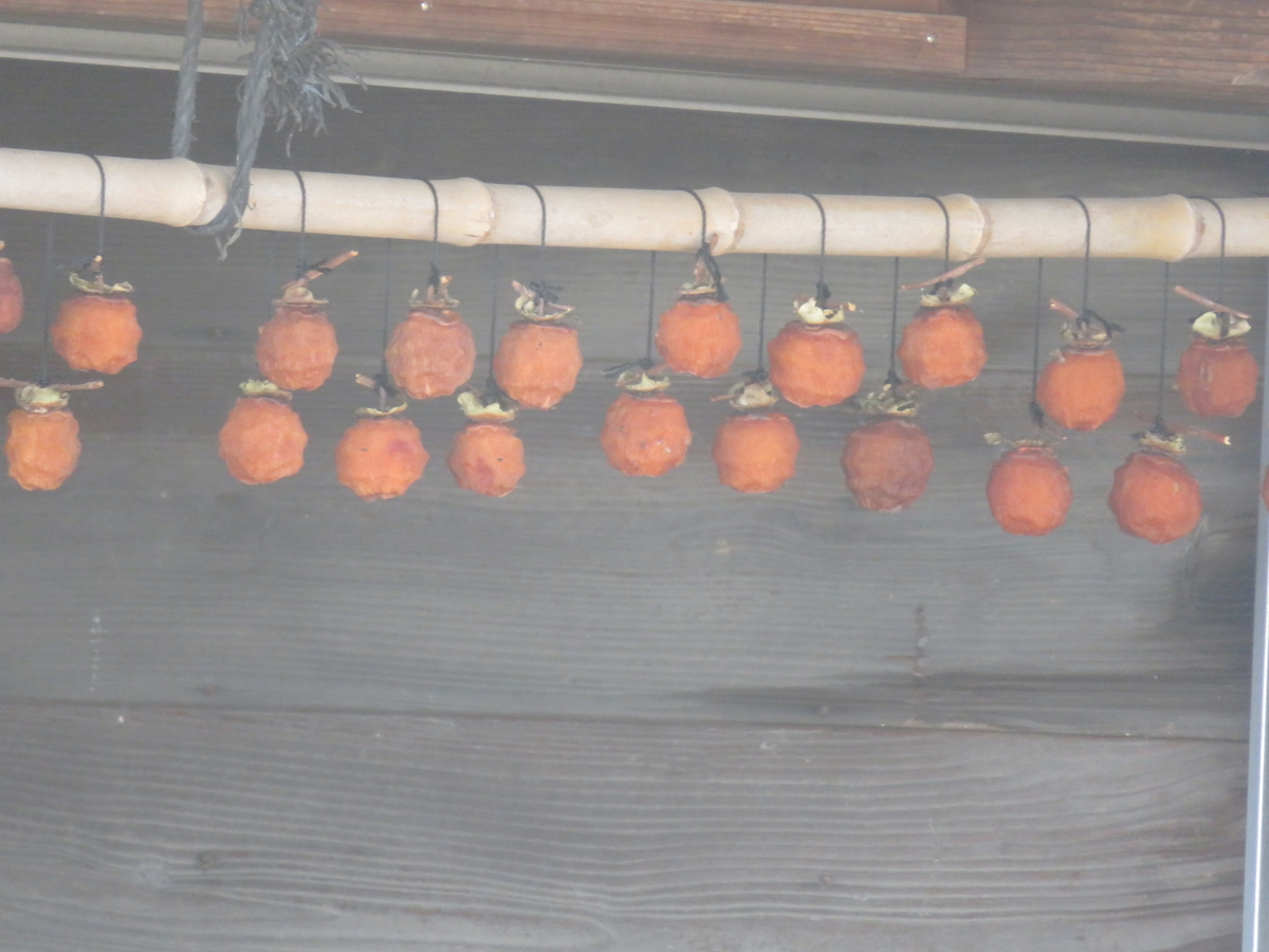 f:id:mannenNA:20211114162007j:plain