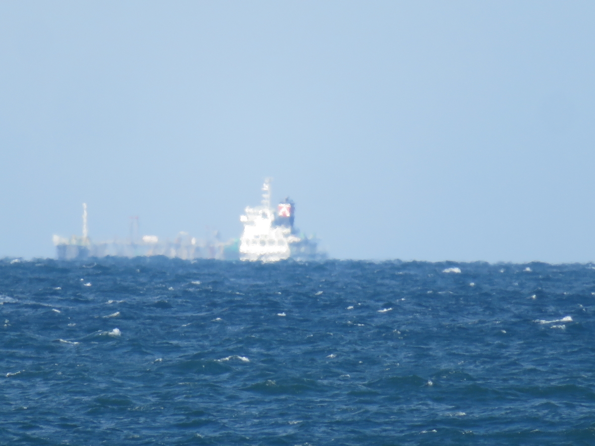 f:id:mannenNA:20211114162053j:plain