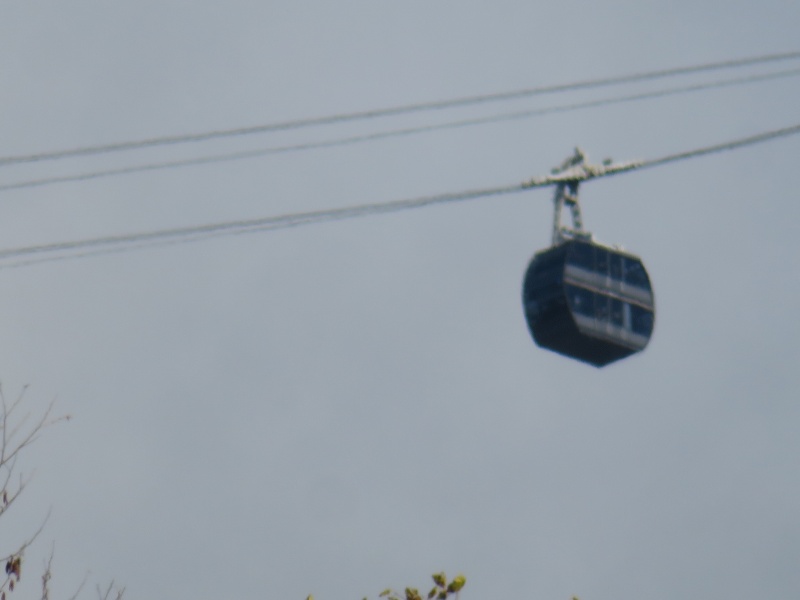 f:id:mannenNA:20211116172057j:plain