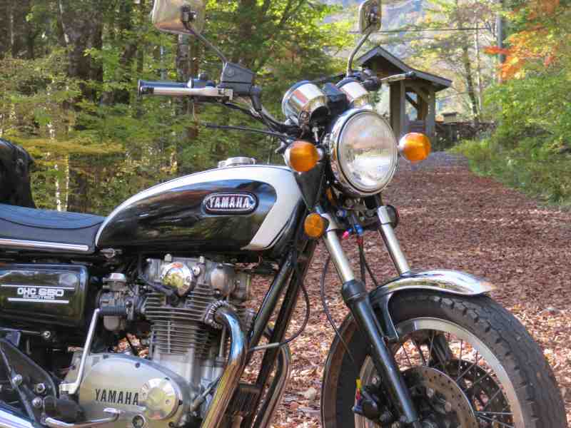 f:id:mannenNA:20211116172237j:plain