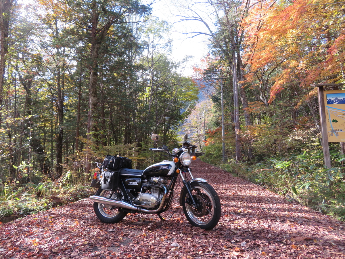 f:id:mannenNA:20211116172311j:plain