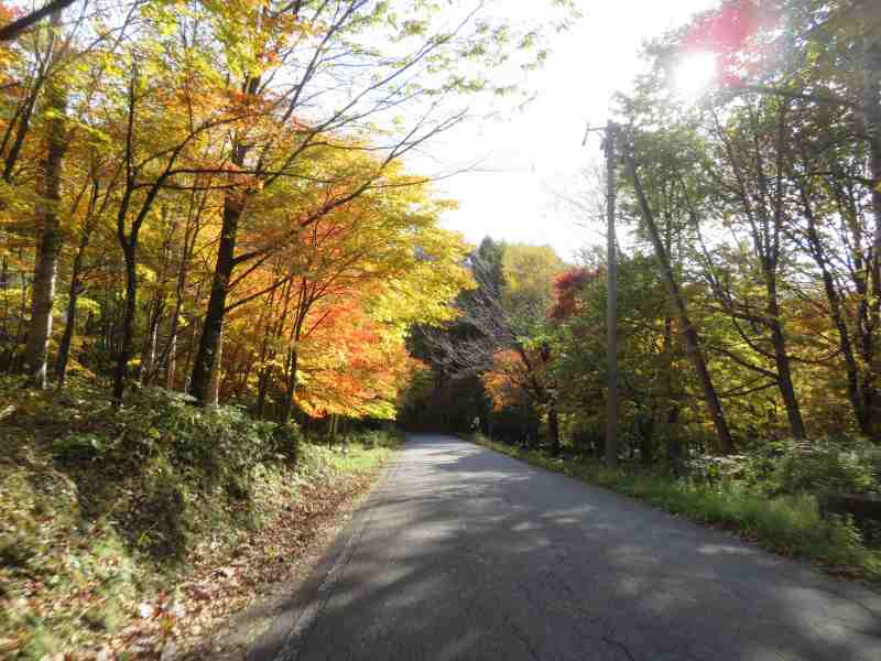 f:id:mannenNA:20211116172521j:plain