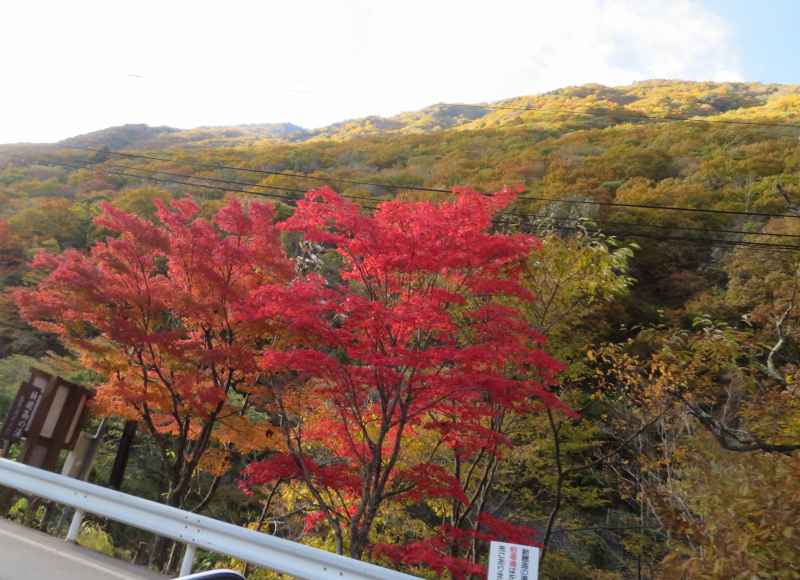 f:id:mannenNA:20211116172549j:plain