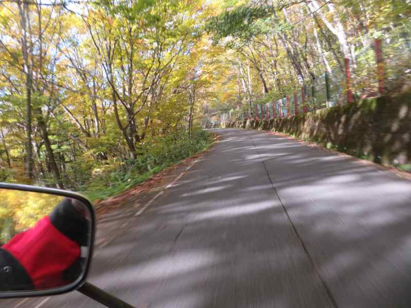 f:id:mannenNA:20211116172746j:plain