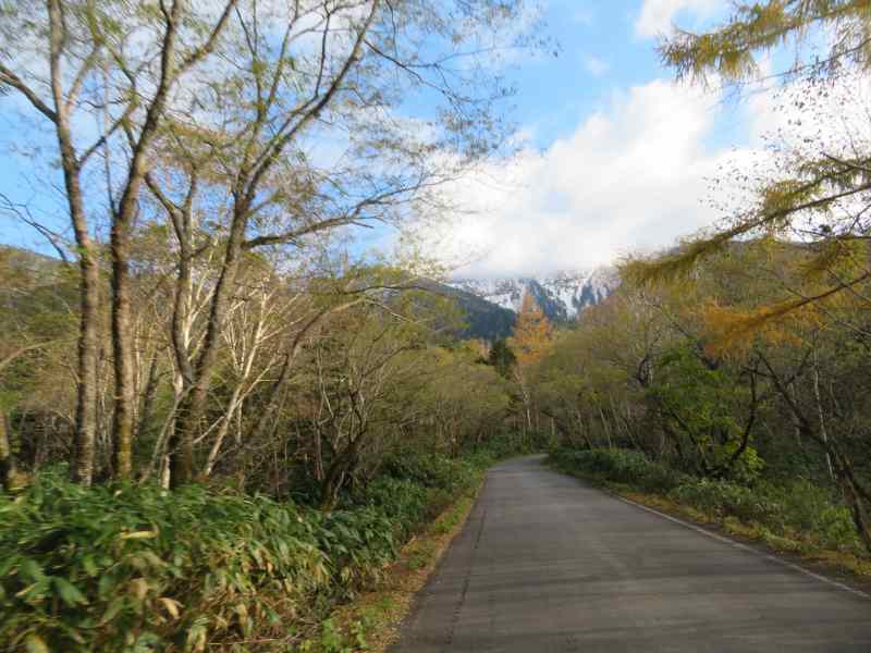 f:id:mannenNA:20211116172802j:plain