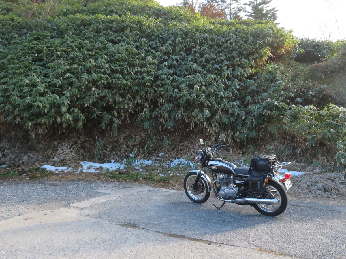 f:id:mannenNA:20211116172916j:plain