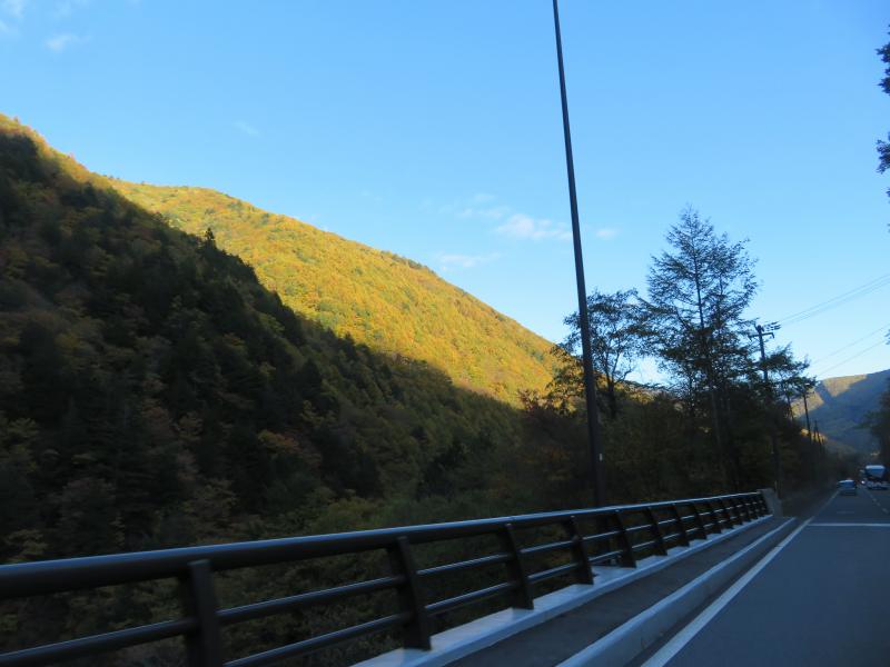 f:id:mannenNA:20211116173043j:plain