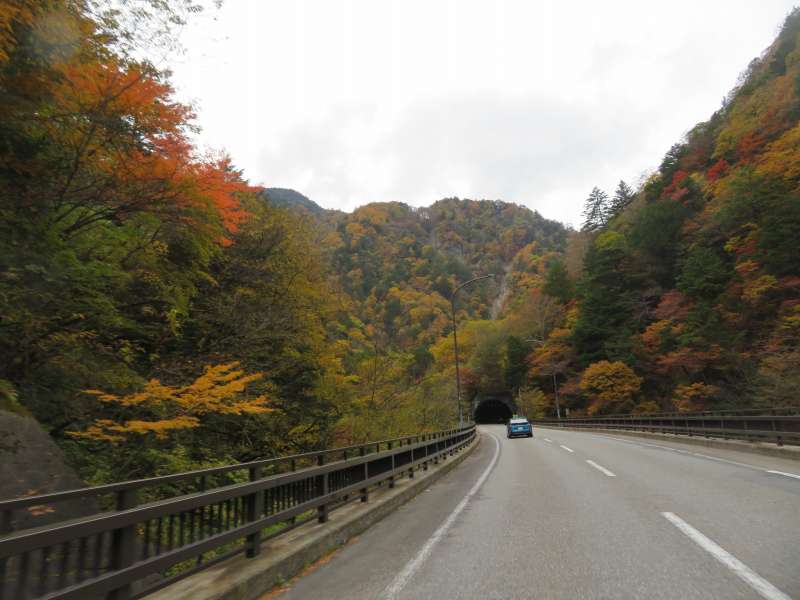 f:id:mannenNA:20211122170634j:plain