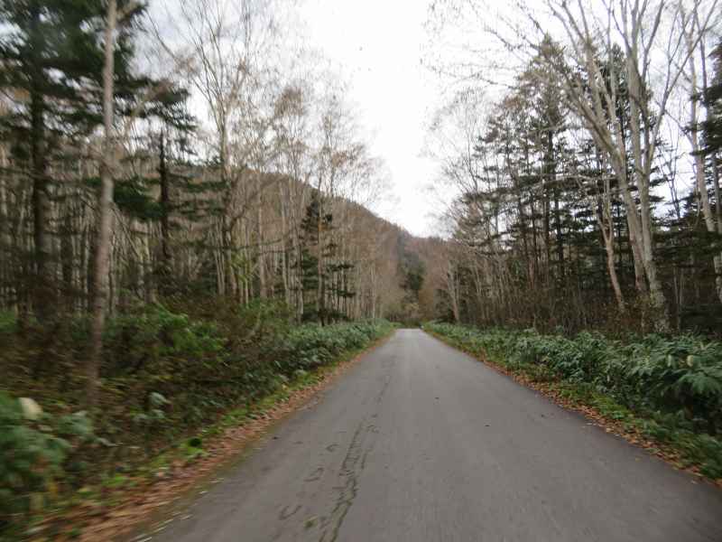 f:id:mannenNA:20211122170832j:plain