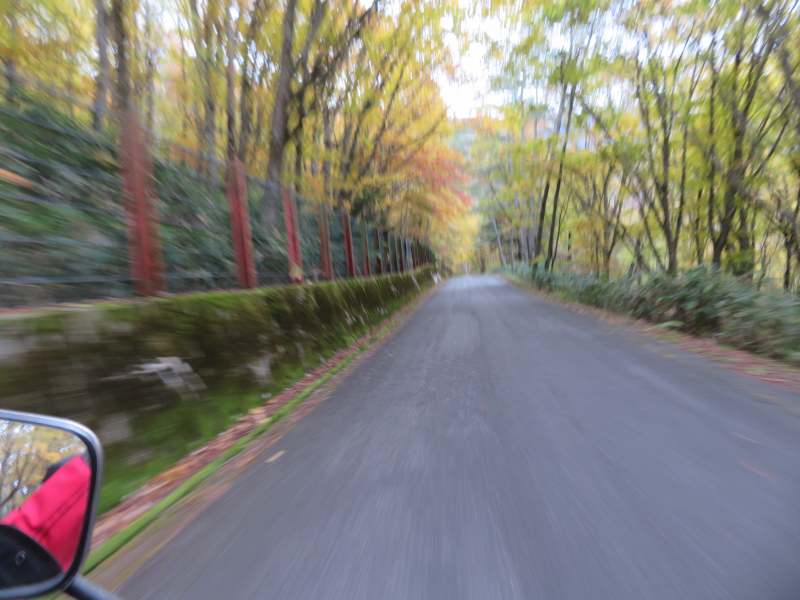 f:id:mannenNA:20211122170933j:plain