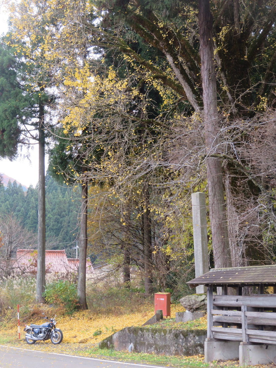 f:id:mannenNA:20211123092423j:plain