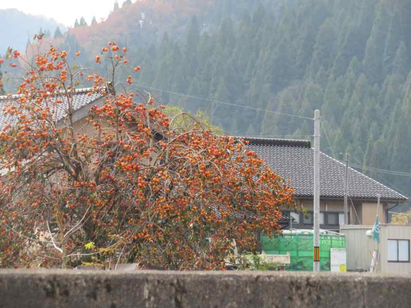 f:id:mannenNA:20211123092750j:plain