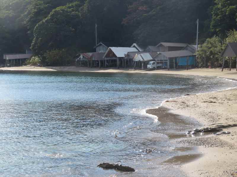 f:id:mannenNA:20211129174809j:plain