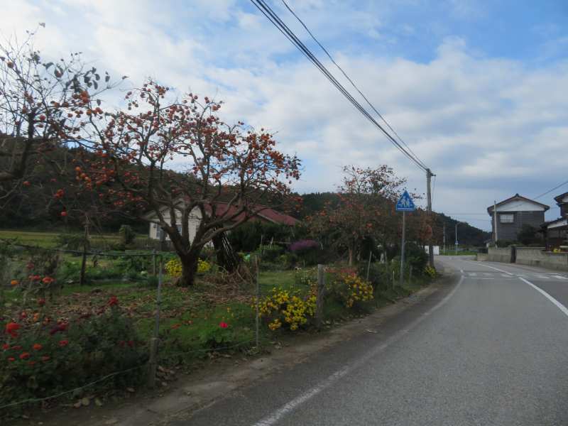 f:id:mannenNA:20211129174901j:plain