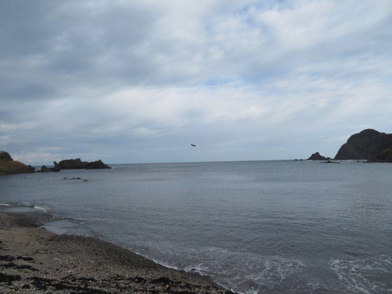 f:id:mannenNA:20211129174955j:plain