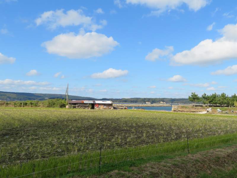 f:id:mannenNA:20211203193649j:plain