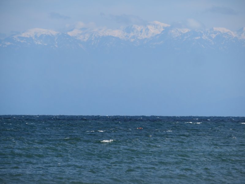 f:id:mannenNA:20211203193830j:plain