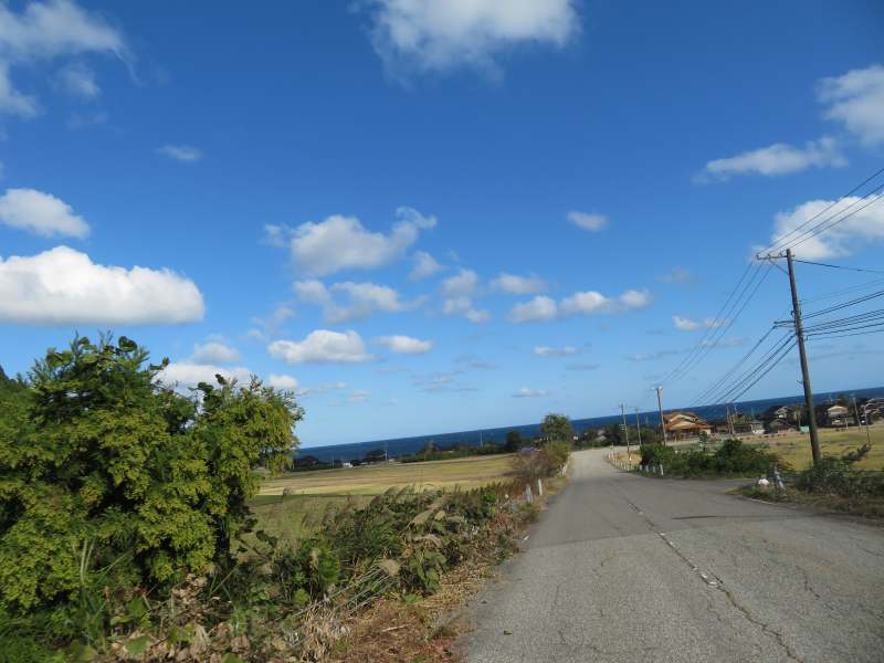 f:id:mannenNA:20211203193934j:plain